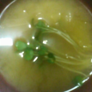 玉葱＆白菜＆貝割れのお味噌汁